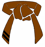Int Brown Belt